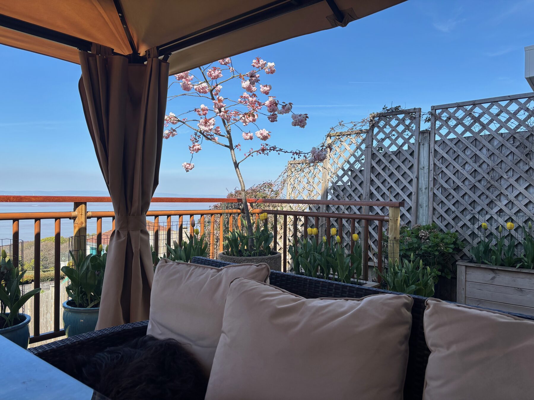 Garden deck seating area under the gazebo, with sea view
